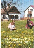 Borosán Gyula (szerk.) - Zala megye falvainak képeskönyve 1989.
