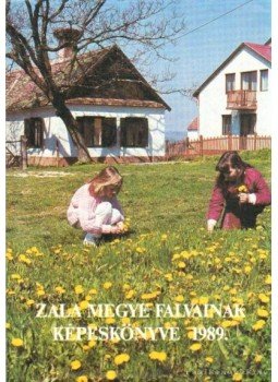 Borosán Gyula (szerk.) - Zala megye falvainak képeskönyve 1989. Borosán Gyula (szerk.) - Zala megye falvainak képeskönyve 1989., Zalaegerszeg 1989 antikvár könyv