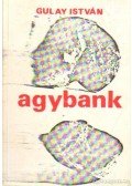 Gulay István - Agybank