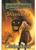 R.A. Salvatore - Száműzött