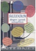 Számadó László,Pintyéné Krucsó Mária - Sulilexikon - Idegen szavak suliszótára