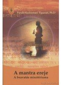 Pandit Radzsmani Tigunait - A mantra ereje
