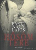 Parti Nagy Lajos - Hősöm tere