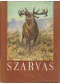 Szederjei Ákos Dr. - Szarvas