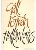 Gáll István - Hullámlovas