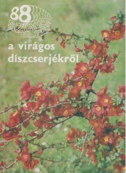 Schmidt Gábor dr. - 88 színes oldal a virágos díszcserjékről Schmidt Gábor dr. - 88 színes oldal a virágos díszcserjékről, Budapest 1985 antikvár könyv
