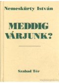 Nemeskürty István - Meddig várjunk?