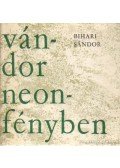Bihari Sándor - Vándor, neonfényben