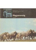 Fekete Gyula - Magyarország