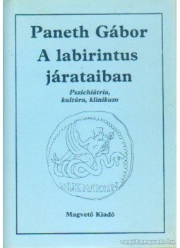 Paneth Gábor - A labirintus járataiban Paneth Gábor - A labirintus járataiban, Budapest 1985 antikvár könyv