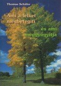 Thomas Schafer - Ami a lelket megbetegíti és ami meggyógyítja