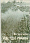 Baranyai Júlia - Vízbe vesző nyomokon