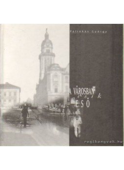 Pálinkás György - A városban esik az eső Pálinkás György - A városban esik az eső, 0 antikvár könyv