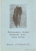 Richnovszky Andor,Koleszár Edit,Vass Erika - Baja utcanevei (dedikált)