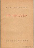 Vöröss István - Tű hegyén