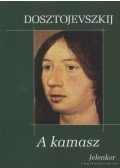 Dosztojevszkij, Fjodor Mihajlovics - A kamasz