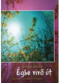 Bosnyák Sándor - Égbe vivő út