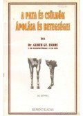 Guoth Gy. Endre dr. - A pata és csülök ápolása és betegségei