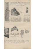 Szilády Zoltán,Zimmermann Ágoston,Zimmermann Gusztáv,Keller Oszkár - Rendszeres állattan / Általános állattan / Zoologia / Háziállatok anatómiájának kézi atlasza