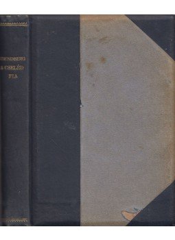 Strindberg Ágost - A cseléd fia Strindberg Ágost - A cseléd fia, Budapest 0 antikvár könyv
