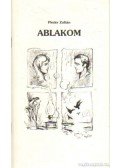 Pintér Zoltán - Ablakom
