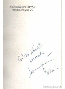Nemeskürty István - Tüzes józanság Nemeskürty István - Tüzes józanság, Budapest 1993 antikvár könyv