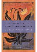 Mills, Janet,RUIZ DON MIGUEL - Gyakorlati útmutató a négy egyezséghez