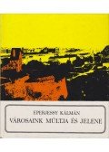 Eperjessy Kálmán - Városaink múltja és jelene