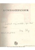 Nagy Olga - Csodaszerszámok