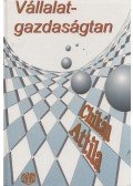 Chikán Attila - Vállalatgazdaságtan