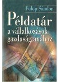 Fülöp Sándor - Példatár a vállalkozások gazdaságtanához