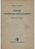 Csery László - Üzemi energiagazdálkodás