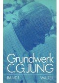 Carl Gustav Jung - Grundfragen zur Praxis