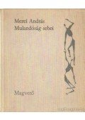 Mezei András - Mulandóság sebei