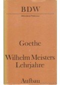 Johann Wolfgang Goethe - Wilhelm Meisters Lehrjahre