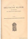 Leyden, Dr. Ernst v.,Klemperer, Dr. Felix - Die Deutsche Klinik V. Band