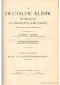 Leyden, Dr. Ernst v.,Klemperer, Dr. Felix - Die Deutsche Klinik X. Band, 1. Abtheilung