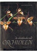 Richter, Walter - ...die schönsten aber sind Orchideen