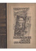 Ossendowski, Ferdinand - In den Dschungeln der Wälder und Menschen