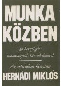Hernádi Miklós - Munka közben
