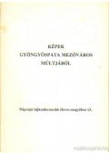 Cs. Schwalm Edit - Képek Gyöngyöspata mezőváros múltjából