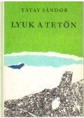 Tatay Sándor - Lyuk a tetőn