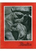Farkas Zoltán - Rodin
