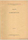 Csillag Béla - Labdarúgás