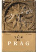 Plicka, Karel,Poche, Emanuel - 7 Tage in Prag