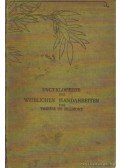 Dillmont, Thérése De - Encyklopaedie der weiblichen handarbeiten (Enciklopédia, a női kézimunkák ismerettára)