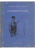 Somogyi Tóth Sándor - Gyerektükör