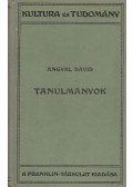 Angyal Dávid - Tanulmányok