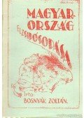 Bosnyák Zoltán - Magyarország elzsidósodása