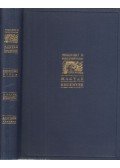 Vitéz Somogyváry Gyula - A Rajna ködbevész